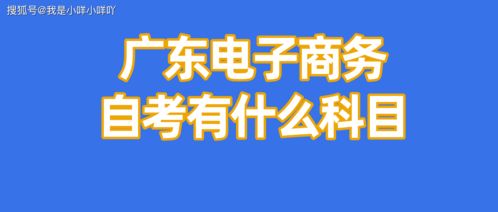 电子商务是不是理工专业