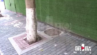 悲剧发生，男孩在小区窨井坠亡，物业责任几何？
